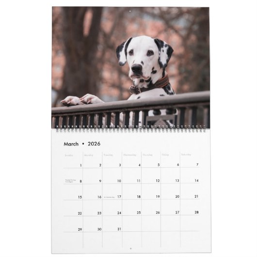 Large Size Dog Lovers Calendar カレンダー (3月 2026)