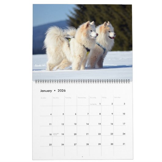 Large Size Dog Lovers Calendar カレンダー (1月 2026)