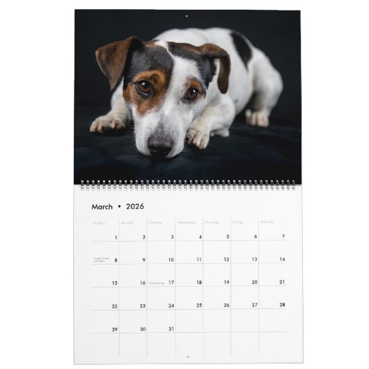 Large Size Dog Lovers Calendar カレンダー (3月 2026)
