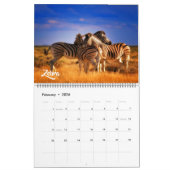 Large Size Exotic Animals Calendar カレンダー (2月 2026)