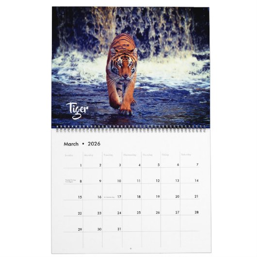 Large Size Exotic Animals Calendar カレンダー (3月 2026)