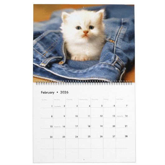 Large Size Kittens Calendar カレンダー (2月 2026)