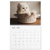 Large Size Kittens Calendar カレンダー (3月 2026)