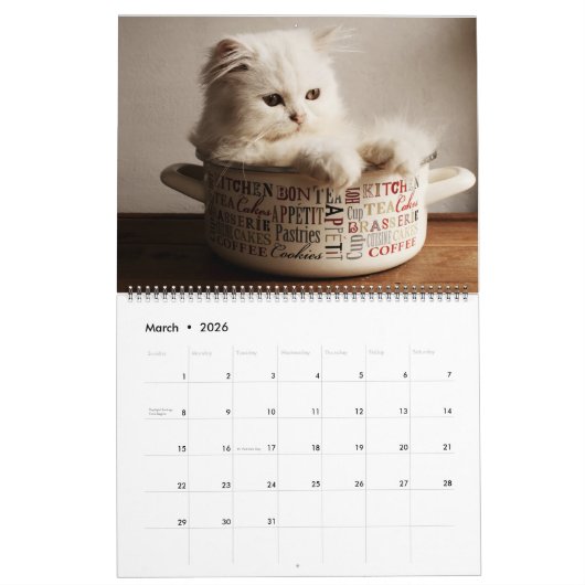 Large Size Kittens Calendar カレンダー (3月 2026)