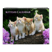 Large Size Kittens Calendar カレンダー (カバー)