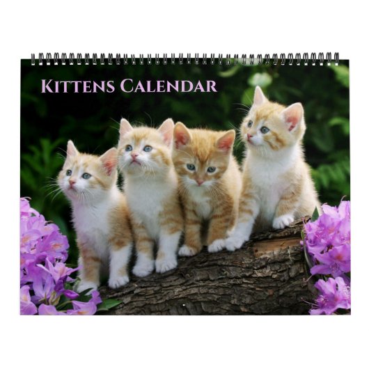 Large Size Kittens Calendar カレンダー (カバー)