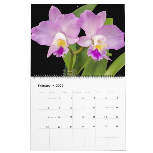 Large Size Orchids Calendar カレンダー (2月 2026)