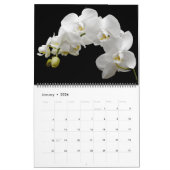 Large Size Orchids Calendar カレンダー (1月 2026)