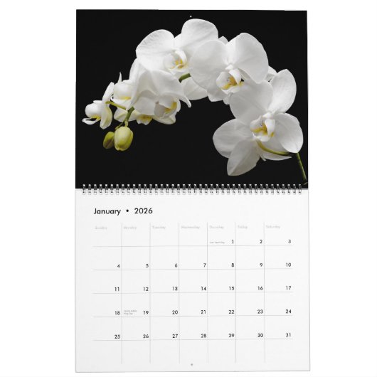 Large Size Orchids Calendar カレンダー (1月 2026)