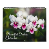 Large Size Orchids Calendar カレンダー (カバー)