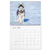Large Size Puppy Love Calendar カレンダー (1月 2026)