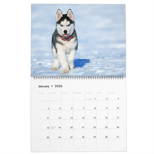 Large Size Puppy Love Calendar カレンダー (1月 2026)