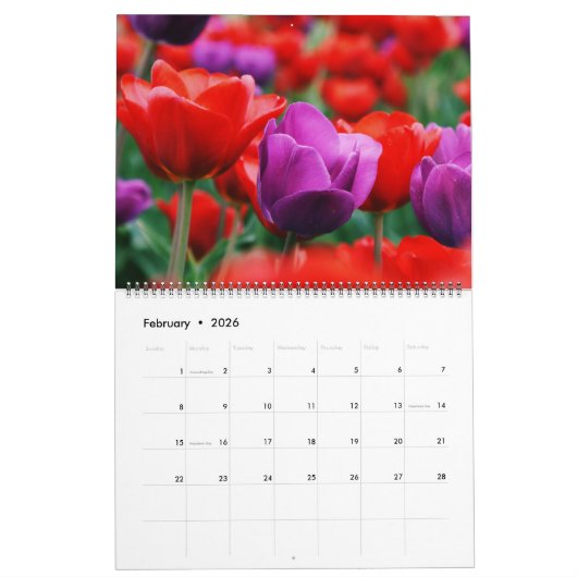 Large Size Tulips Calendar カレンダー (2月 2026)