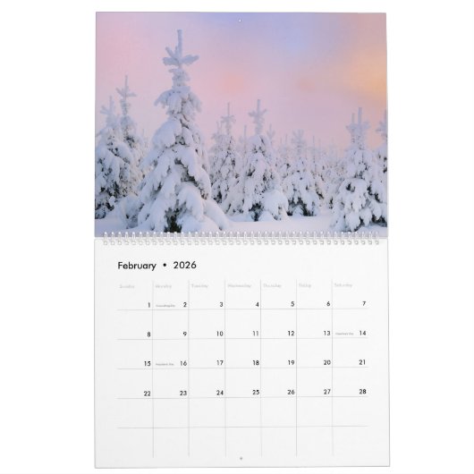 Large Size Winter Paradise Calendar カレンダー (2月 2026)