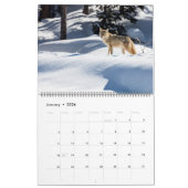 Large Size Yellowstone Calendar-Wildlife Calendar カレンダー (1月 2026)