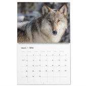 Large Size Yellowstone Calendar-Wildlife Calendar カレンダー (3月 2026)