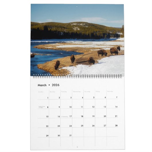 Large Size Yellowstone Park Calendar カレンダー (3月 2026)
