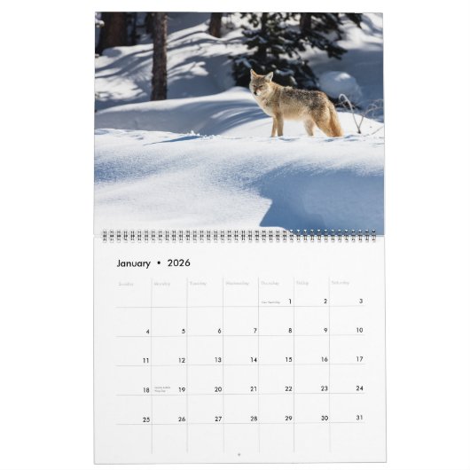 Large Size Yellowstone Park Calendar カレンダー (1月 2026)