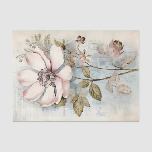 Large Slightly Abstract Pale Pink Long Stem Peony 薄葉紙 (正面)