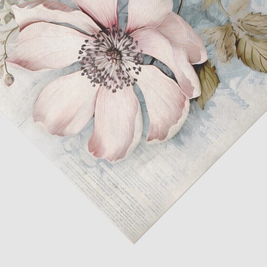 Large Slightly Abstract Pale Pink Long Stem Peony 薄葉紙 (詳細)