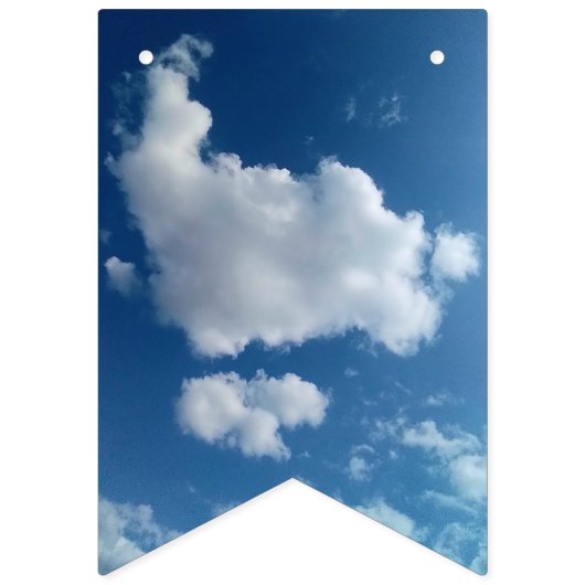 large soft cloud バンティングフラッグ (第2の旗)