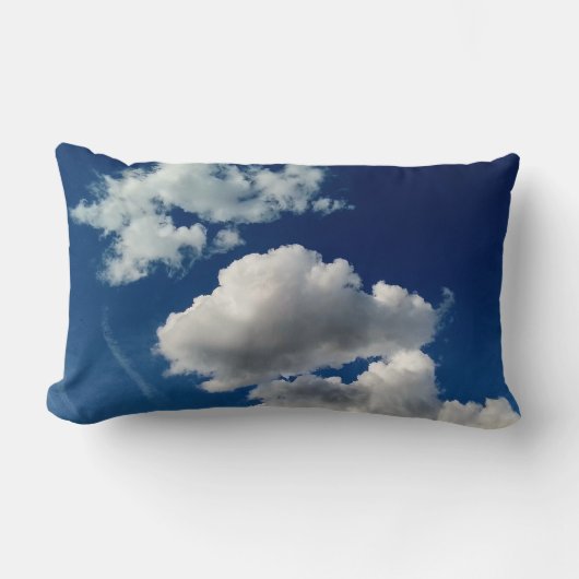Large soft clouds ランバークッション (正面)