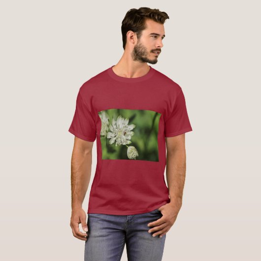 Large Star Umbel Botanical Illustration Tシャツ (正面フル)
