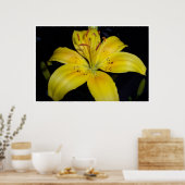 Large Yellow Lilie ポスター (キッチン)