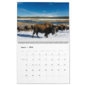 Large Yellowstone Park Calendar カレンダー (3月 2026)