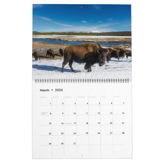 Large Yellowstone Park Calendar カレンダー (3月 2026)