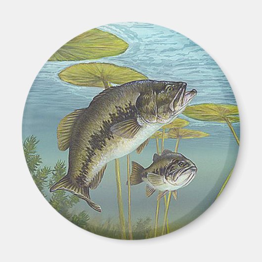 Largemouth Bass マグネット (正面)