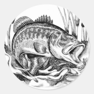 Largemouth Bass ラウンドシール