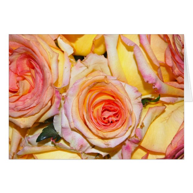 L'Arianaise (正面横)