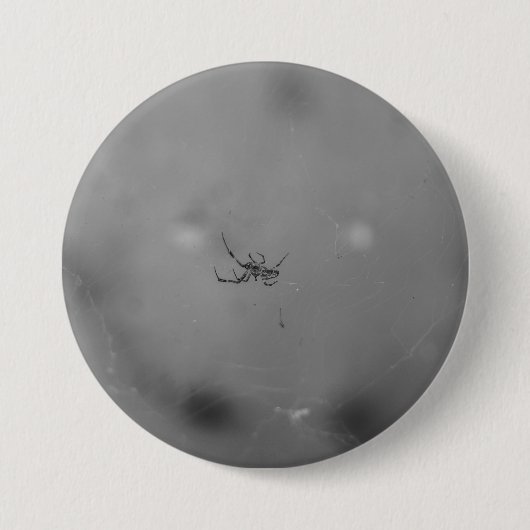 Larinioides sclopetarius 缶バッジ (正面)