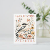 Lark Bunting Bird of Colorado USA Travel ポストカード (スタンド正面)