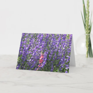 Larkspurs カード