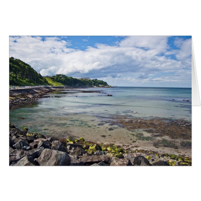 Larneの海岸北アイルランド (正面横)