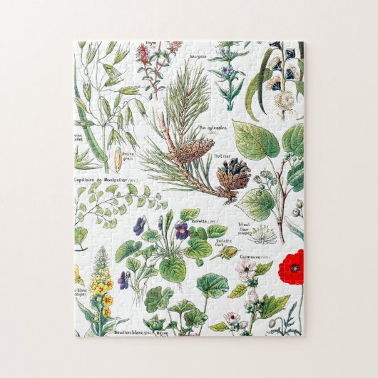 Larousseはcalmantes、emollientes、pectoralesを植えます ジグソーパズル (縦)