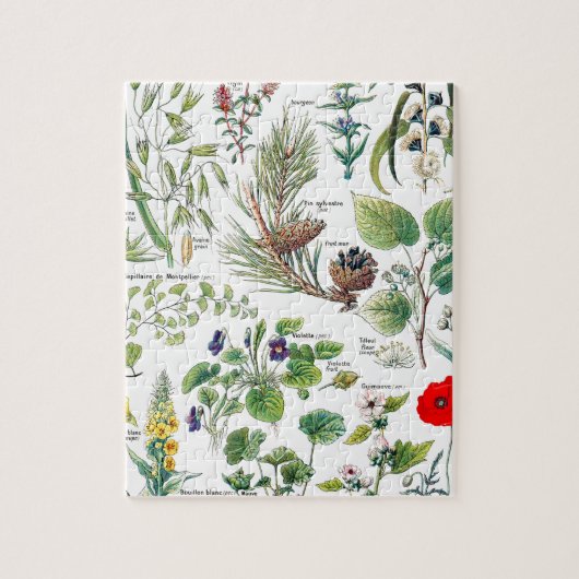 Larousseはcalmantes、emollientes、pectoralesを植えます ジグソーパズル (縦)