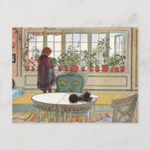 Larsson: Flowers on the Windowsill ポストカード