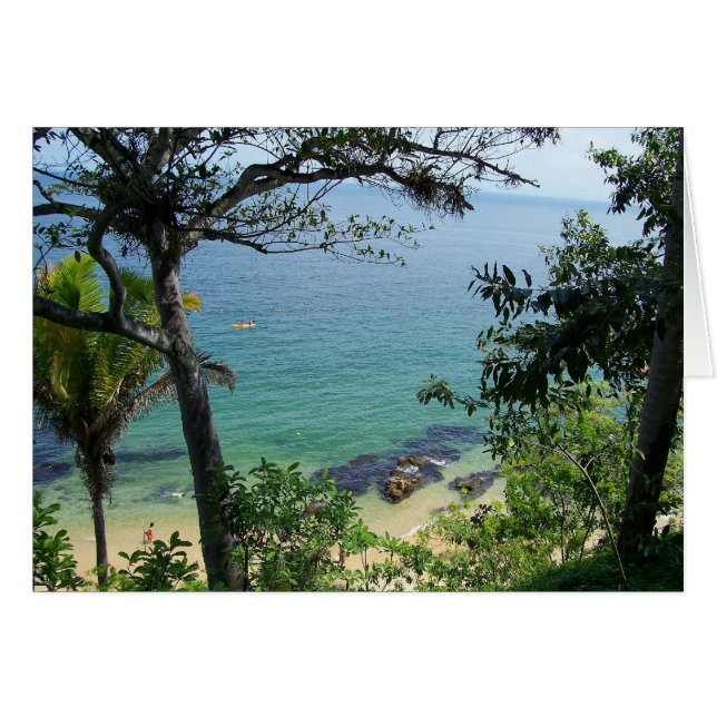 Las Caletas (正面横)