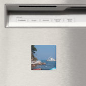 Las Caletas，メキシコ磁石 マグネット (インサイチュ (食洗機))