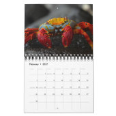 Las Encantadas カレンダー (2月 2027)