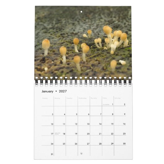 Las Encantadas カレンダー (1月 2027)