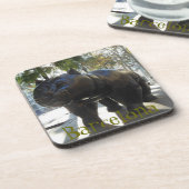 Las Ramblasのバルセロナ猫の彫像 コースター (左側)