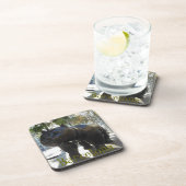 Las Ramblasのバルセロナ猫の彫像 コースター (右側)