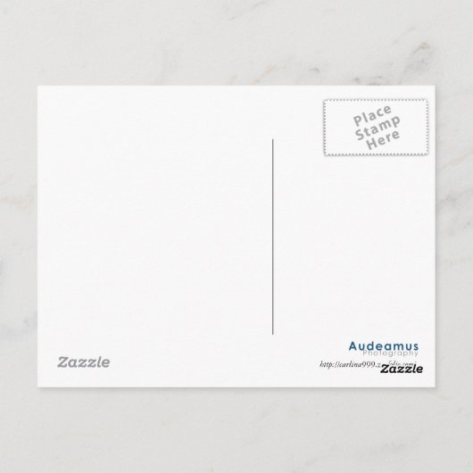 LaSalle - CBOT ポストカード (裏面)