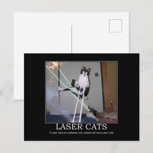 Laser Catsはがき ポストカード (正面/裏面)