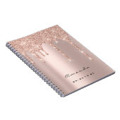 Lashesイベントバラドリップスメイクアップアーティストブライダルスパーク ノートブック (右側)