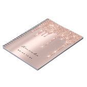 Lashesイベントバラドリップスメイクアップアーティストブライダルスパーク ノートブック (左側)